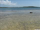 Cayo de Tierra - VIEQUES